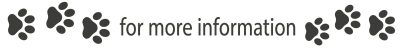 mehr information englisch